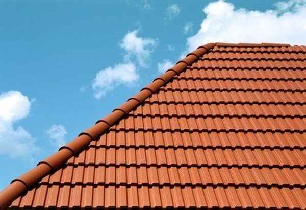 ������ ���� �� ���������������� ����� � ���� �� ����� ���� � ���� ������