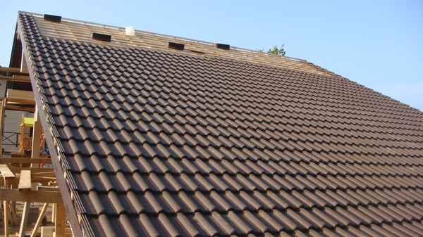 ������ ������ ������ ������ ����� � ������� �������� ���